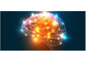 İnsan beyni kapasitesinin bir sınırı var mı?