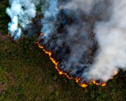Google Sel ve Orman Yangını Takibini Daha Fazla Ülkeye Genişletiyor