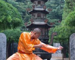 Kungfu Sanatı ve Ustasından Bilgiler