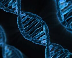 Genetik mühendisliği gelişmeler tartışmalar ve etiği