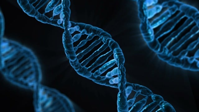 Genetik mühendisliği gelişmeler tartışmalar ve etiği