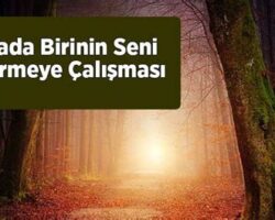 rüyada birinin seni boğmaya çalışması ne anlama gelir?