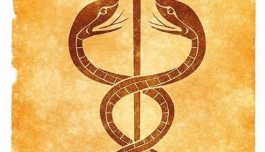 Yılanın Mitolojik Gücü: Caduceus ve Medusa